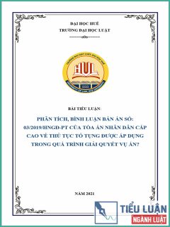[Tiểu luận 2021] Phân tích, bình luận bản án số 03/2019/HNGĐ-PT của Tòa án nhân dân cấp cao Hà Nội về thủ tục tố tụng được áp dụng trong quá trình giải quyết vụ án