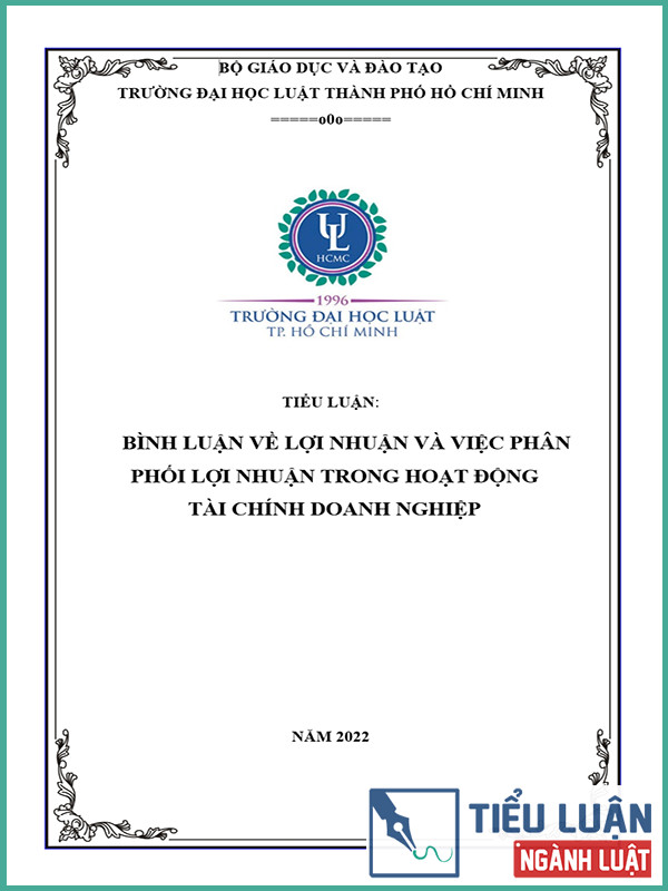 [Tiểu luận 2022] Bình luận về lợi nhuận và việc phân phối lợi nhuận trong hoạt động tài chính doanh nghiệp