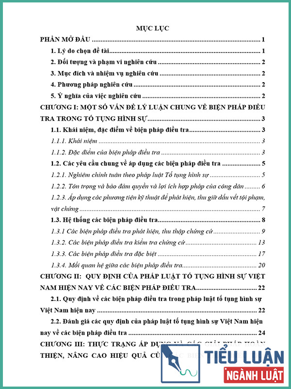 [Tiểu luận 2022] Các biện pháp điều tra trong Luật Tố tụng hình sự
