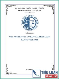 [Tiểu luận 2022] Các nguyên tắc cơ bản của Pháp luật dân sự Việt Nam
