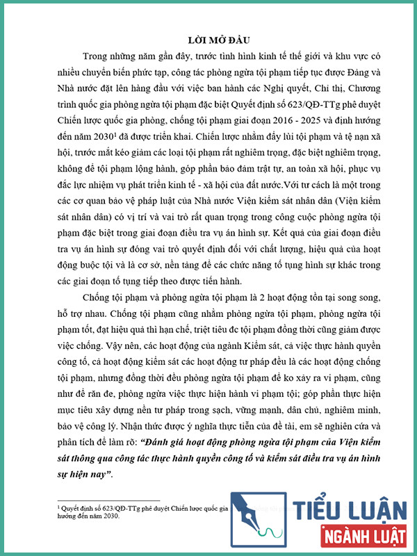 [Tiểu luận 2022] Đánh giá hoạt động phòng ngừa tội phạm của Viện kiểm sát thông qua công tác thực hành quyền công tố và kiểm sát điều tra vụ án hình sự hiện nay
