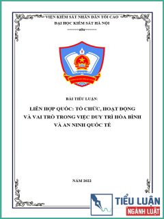 [Tiểu luận 2022] Liên Hợp Quốc: Tổ chức, hoạt động và vai trò trong việc duy trì hòa bình và an ninh quốc tế