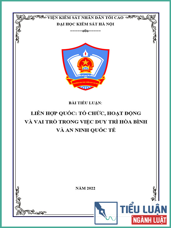 [Tiểu luận 2022] Liên Hợp Quốc: Tổ chức, hoạt động và vai trò trong việc duy trì hòa bình và an ninh quốc tế