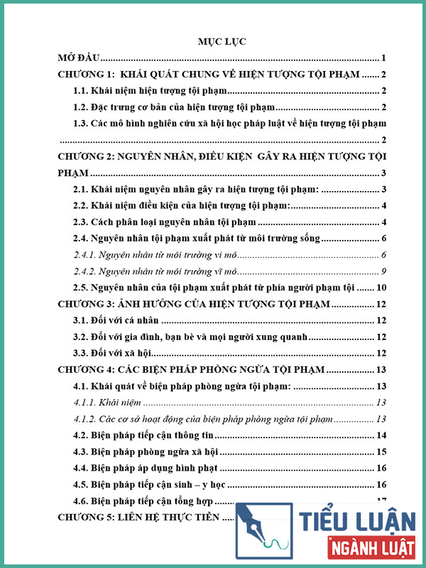 nguyen nhan dieu kien cua hien tuong toi pham o nuoc ta hien nay va bien phap phong ngua 2