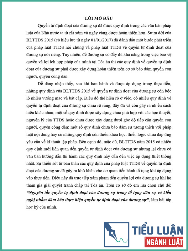 [Tiểu luận 2022] Nguyên tắc quyền tự định đoạt của đương sự trong tố tụng dân sự và kiến nghị nhằm đảm bảo thực hiện quyền tự định đoạt của đương sự