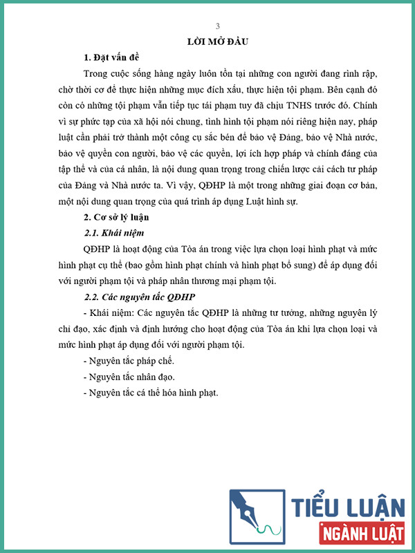 [Tiểu luận 2022] Anh/chị hãy phân tích căn cứ quyết định hình phạt trong Bộ luật Hình sự