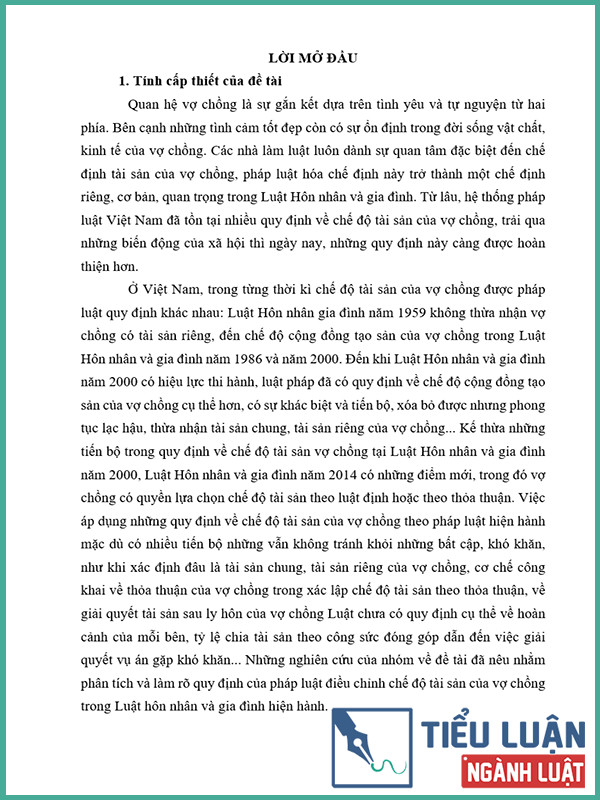 [Tiểu luận 2022] Phân tích chế định tài sản của vợ chồng trong Luật Hôn nhân và gia đình năm 2014 và thực tiễn áp dụng pháp luật tại Việt Nam