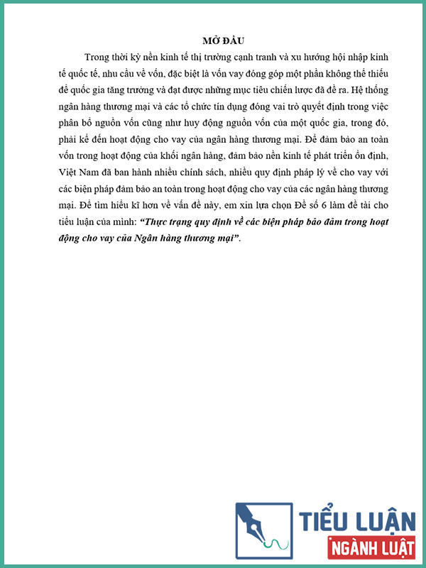 [Tiểu luận 2022] Thực trạng quy định về các biện pháp bảo đảm trong hoạt động cho vay của Ngân hàng thương mại
