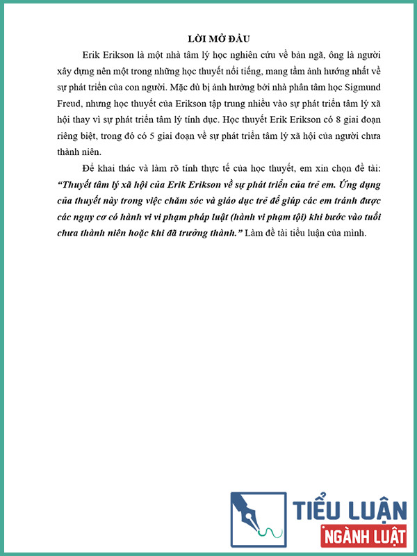 [Tiểu luận 2022] Thuyết tâm lý xã hội của Erik Erikson về sự phát triển của trẻ em. Ứng dụng của thuyết này trong việc chăm sóc và giáo dục trẻ để giúp các em tránh được các nguy cơ có hành vi vi phạm pháp luật (hành vi phạm tội) khi bước vào tuổi chưa thành niên hoặc khi đã trưởng thành