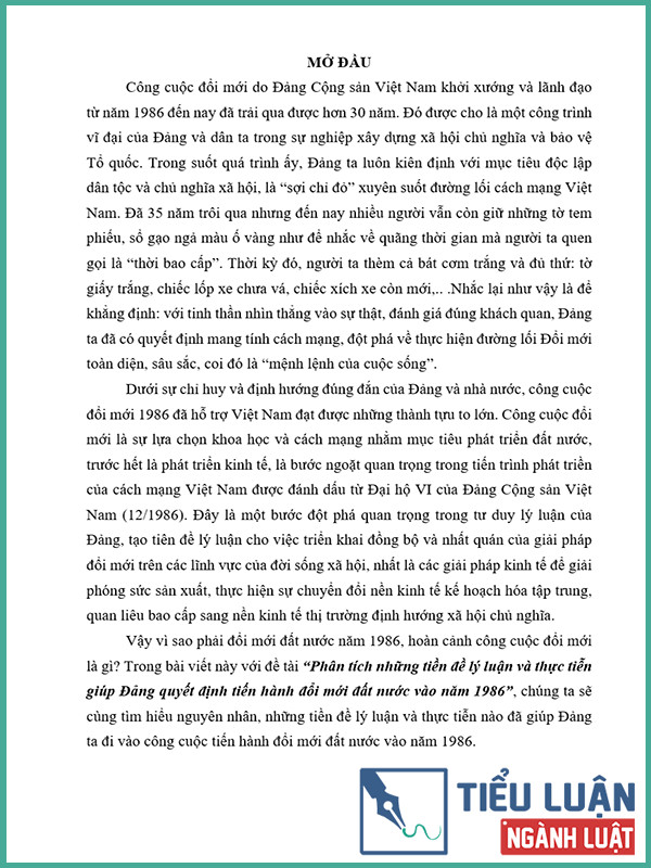 [Tiểu luận 2022] Phân tích những tiền đề lý luận và thực tiễn giúp Đảng quyết định tiến hành đổi mới đất nước vào năm 1986 (Bài 1)