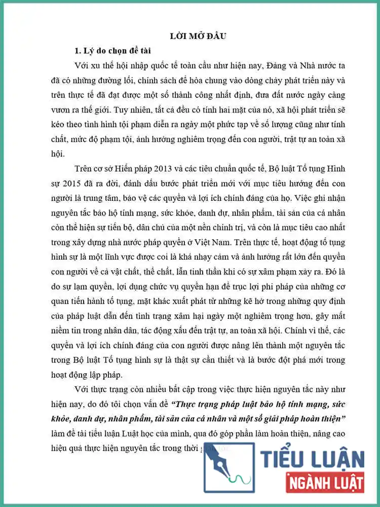 [Tiểu luận 2021] Thực trạng pháp luật bảo hộ tính mạng, sức khỏe, danh dự, nhân phẩm, tài sản của cá nhân và một số giải pháp hoàn thiện