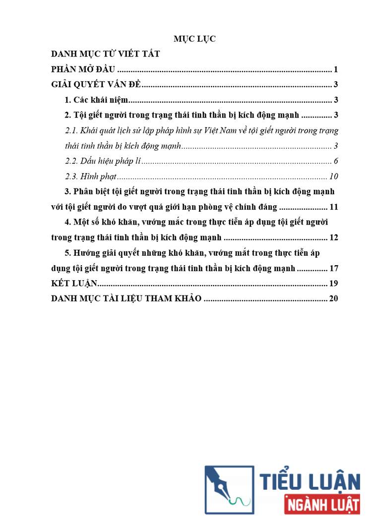 B0147 phan tich giet nguoi trong trang thai tinh than kich dong manh 2
