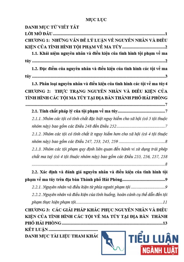 B0193 nguyen nhan va dieu kien cua tinh hinh toi pham ve ma tuy tren dia ban tp hai phong 2