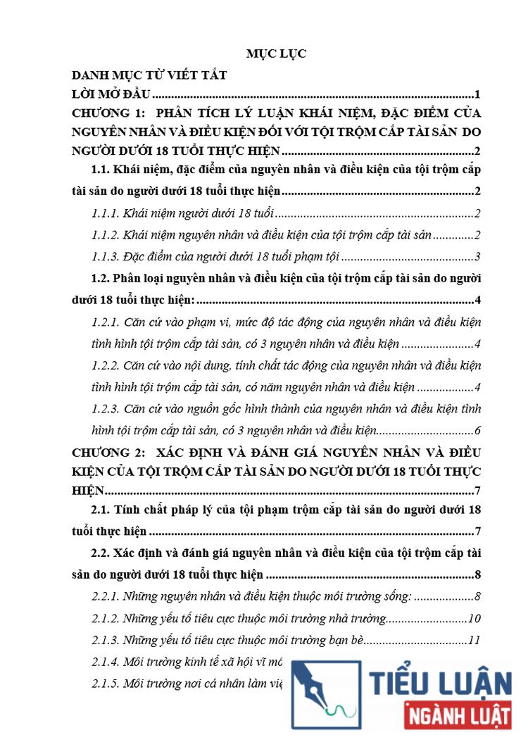 B0198 nguyen nhan va dieu kien tu phia nguoi pham toi doi voi toi trom cap tai san do nguoi duoi 18 tuoi thuc hien 2