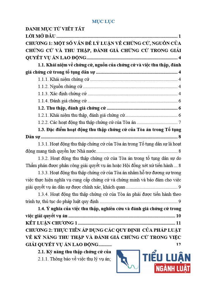 ky nang thu thap va danh gia chung cu trong viec giai quyet vu an lao dong 2