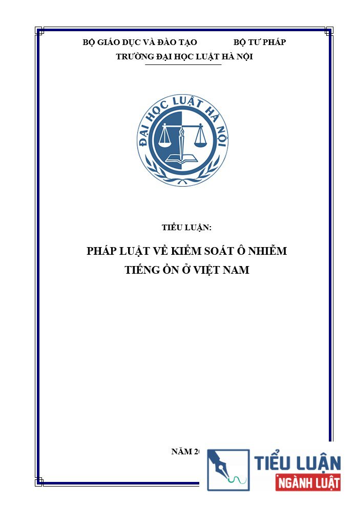phap luat ve kiem soat o nhiem tieng on o viet nam 1