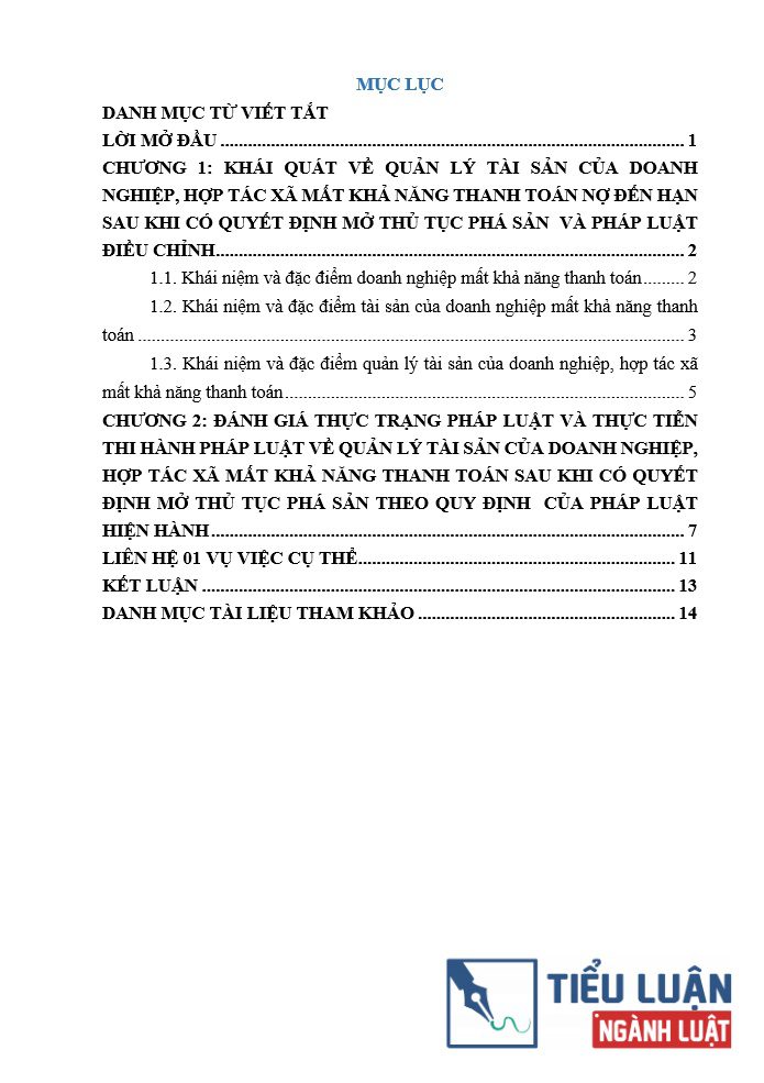 phap luat ve quan ly tai san mat kha nang thanh toan no den han 2