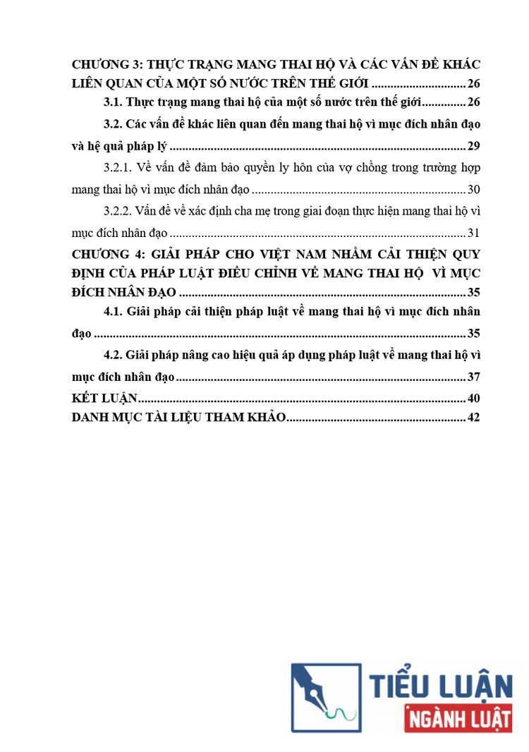 thuc trang mang thai ho vi muc dich nhan dao nhung van de ly luan va thuc tien 3