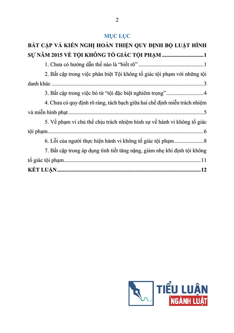 bat cap va kien nghi hoan thien phap luat ve toi khong to giac toi pham 2