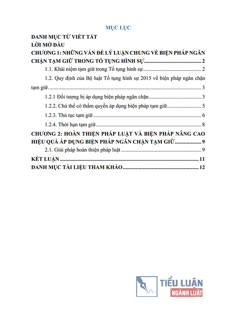 bien phap tam giu trong bo luat to tung hinh su nam 2015 2