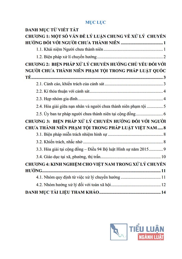 bien phap xu ly chuyen huong doi voi nguoi chua thanh nien pham toi va kinh nghiem cho viet nam 2