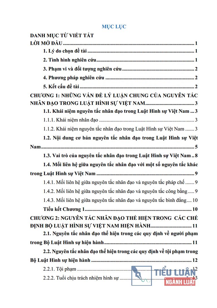 nguyen tac nhan dao trong luat hinh su viet nam 2