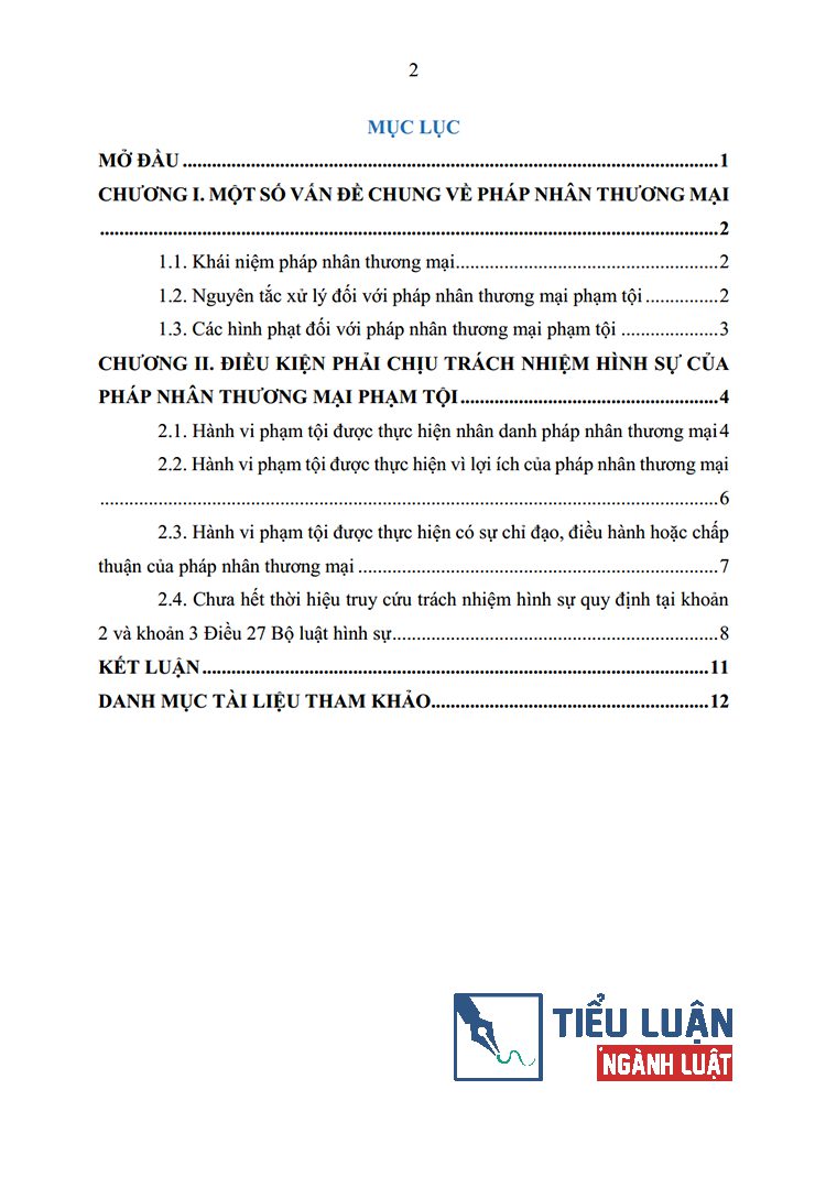 phan tich cac dieu kien phai chiu trach nhiem hinh su cua phap nhan thuong mai pham toi 2