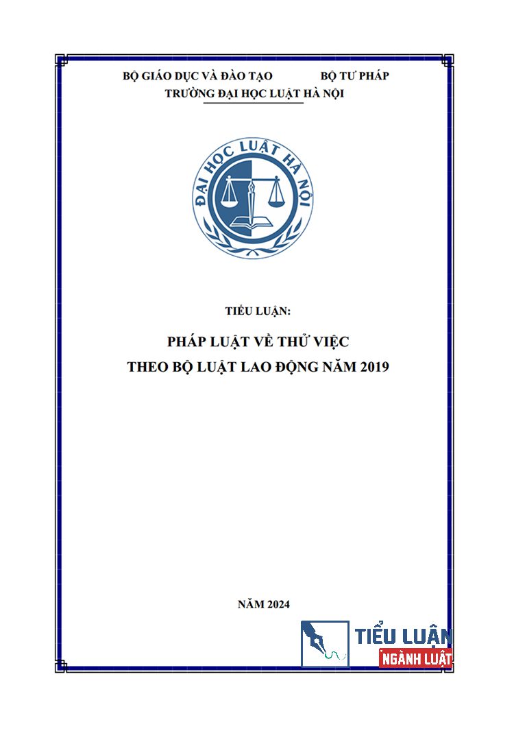 phap luat ve thu viec theo bo luat lao dong nam 2019 1