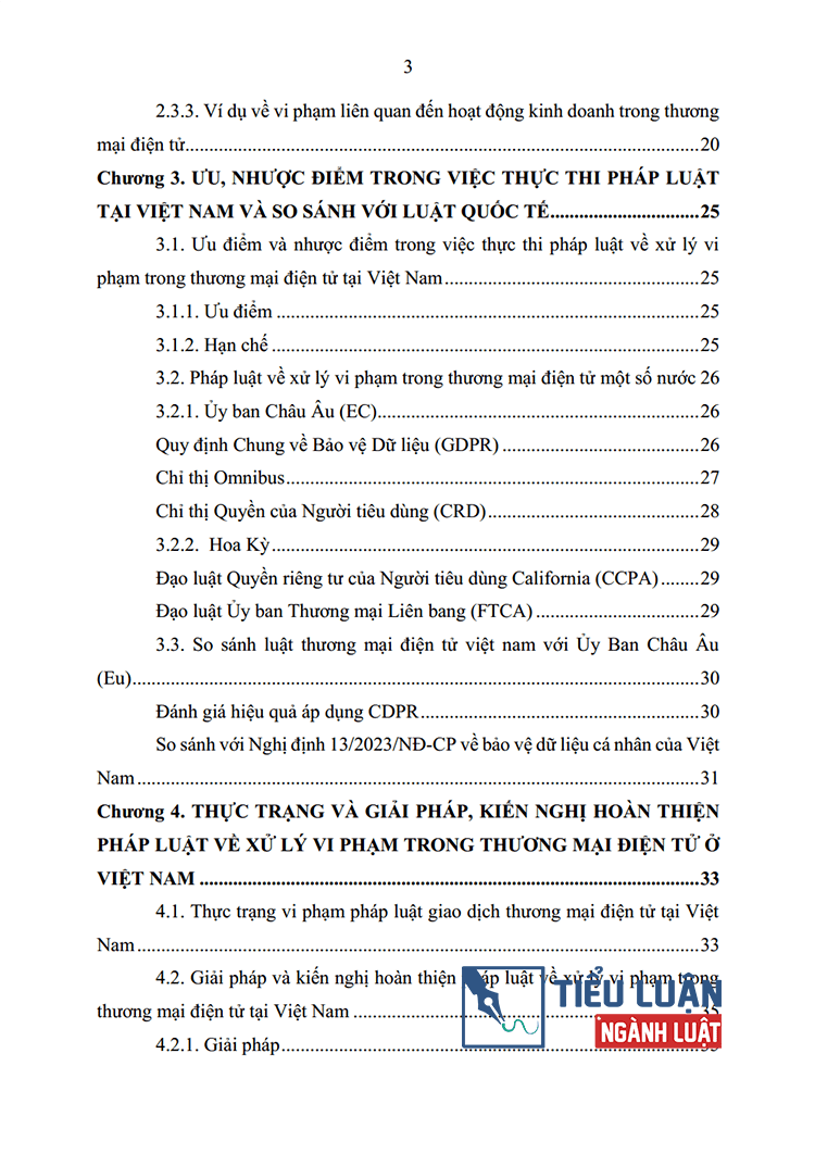 quy dinh phap luat ve xu ly vi pham trong thuong mai dien tu 3
