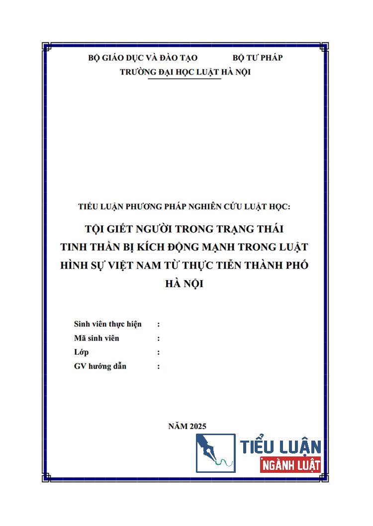  [Tiểu luận 2025] Tội giết người trong trạng thái tinh thần bị kích động mạnh trong luật hình sự Việt Nam từ thực tiễn thành phố Hà Nội