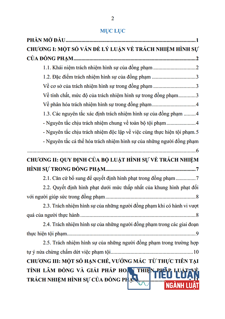 trach nhiem hinh su cua dong pham va thuc tien tai tinh lam dong 2