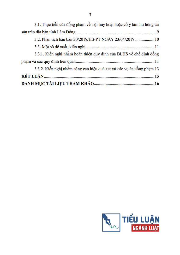trach nhiem hinh su cua dong pham ve toi huy hoai hoac co y lam hu hong tai san thuc tien tinh lam dong 3