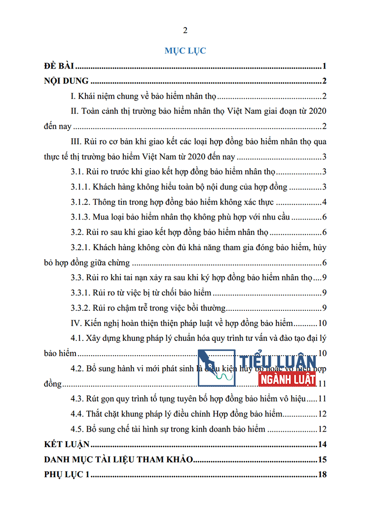 nhan dien va phan tich cac rui ro co ban khi giao ket cac loai hop dong bao hiem nhan tho 2