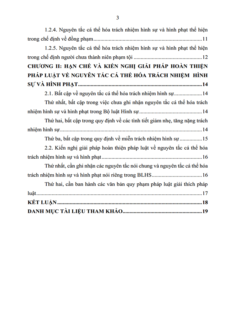 nguyen tac ca the hoa trach nhiem hinh su va hinh phat trong phan chung cua blhs 2015 3