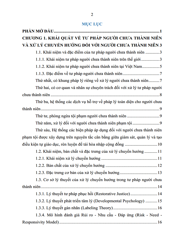 phan tich cac van de ly luan ve muc dich va nguyen tac ap dung bien phap xu ly chuyen huong 2