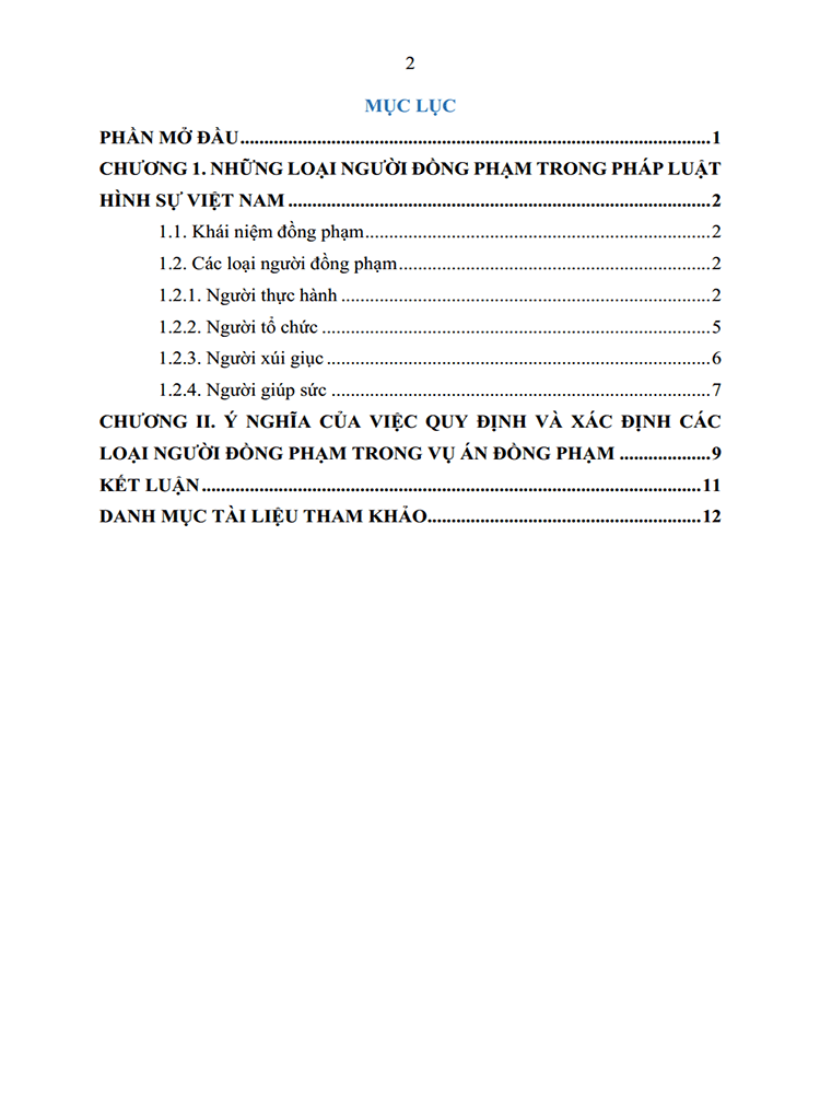 phap luat ve nhung loai nguoi dong pham trong luat hinh su viet nam 2