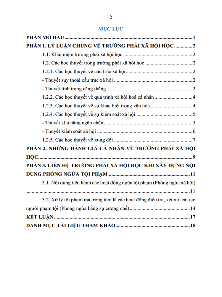 truong phai xa hoi hoc cua toi pham lien he viec xay dung chinh sach phong ngua o viet nam 2